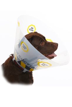 Límec ochranný Buster plastový Design Collar 7,5cm
