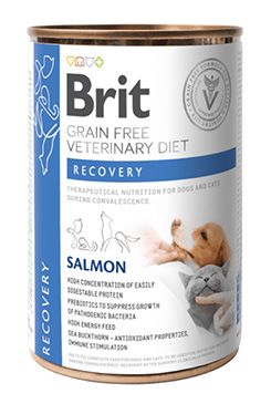 Brit VD Dog Cat Gf konzerva Recovery 400g