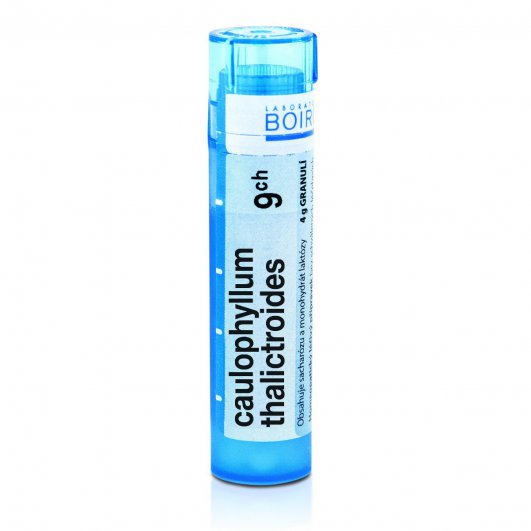 Caulophyllum thalictroides 9CH granule 1x4g