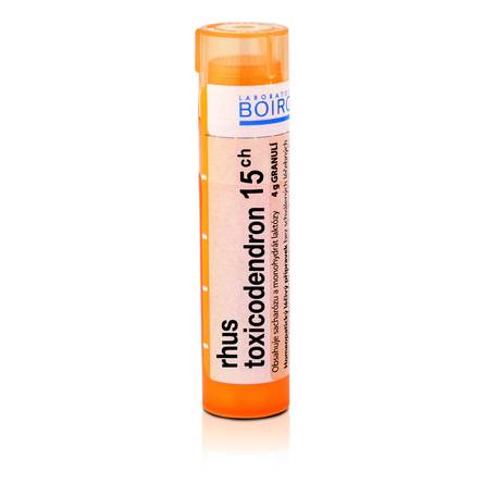 Rhus toxicodendron 15CH granule 4g