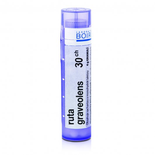Ruta graveolens 30CH granule 4g
