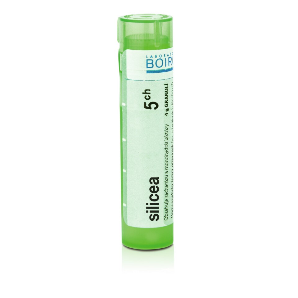 Silicea 5CH granule 4g