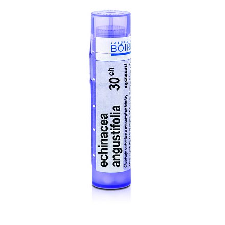 Echinacea angustifolia 30CH granule 1x4g