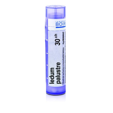 Ledum palustre 30CH granule 1x4g