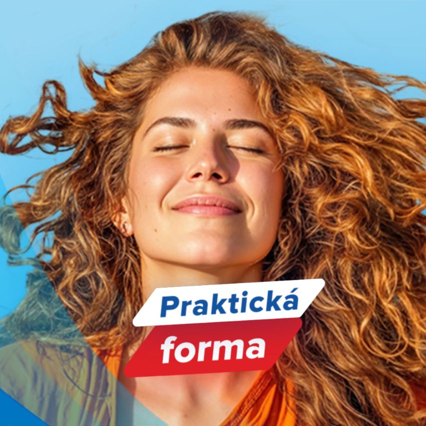 Praktická forma